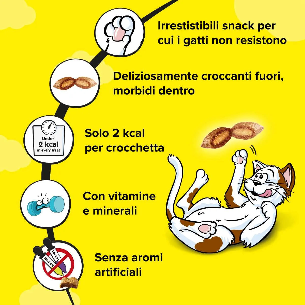 Catisfaction Snack Variety Box 12x60gr - Per Gatti Catisfaction Snack Variety Box 12x60gr - Per Gatti